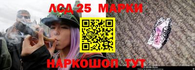 Альфа ПВП Аргун