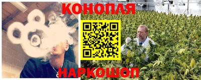 Альфа ПВП Аргун