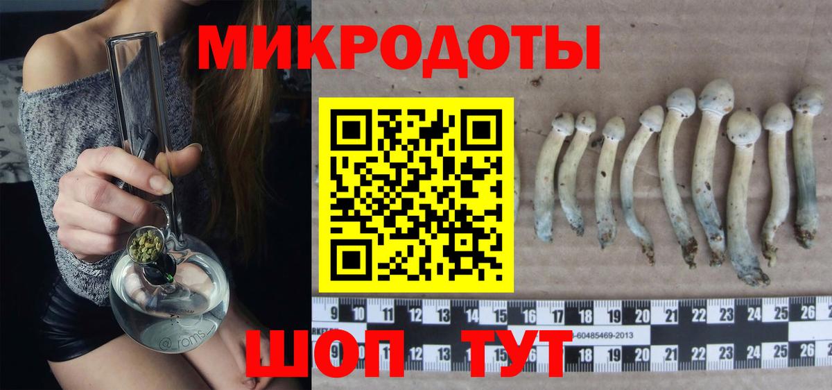 Псилоцибиновые грибы Psilocybine cubensis Волгодонск