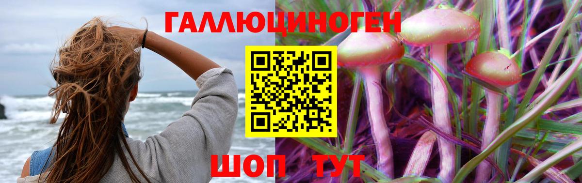 Галлюциногенные грибы мицелий  продажа наркотиков  Волгодонск  Вход с VPN 